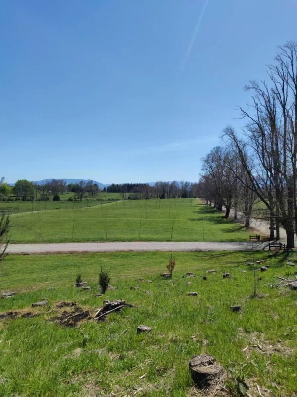 río escondido ruta villarrica pucón desde 2774 uf