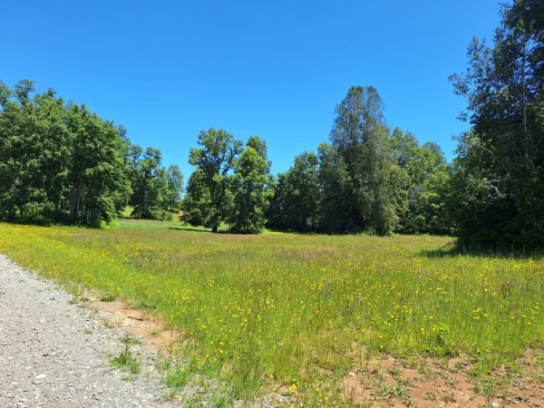 praderas de villarrica iii y iv desde $24.990.000