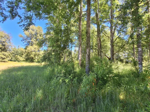 praderas de villarrica iii y iv desde $24.990.000