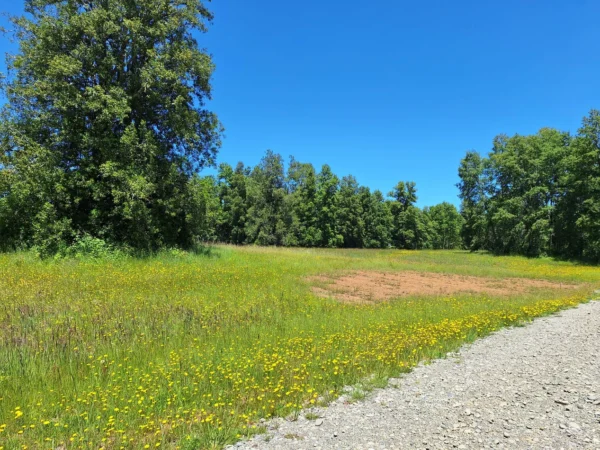 praderas de villarrica iii y iv desde $24.990.000