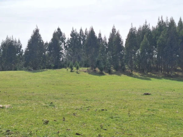 hermosas parcelas por ruta s 91 río, luz y agua. crédito directo