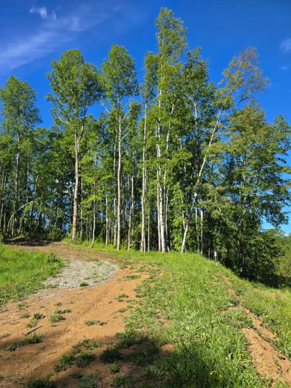 praderas de villarrica iii y iv desde $24.990.000