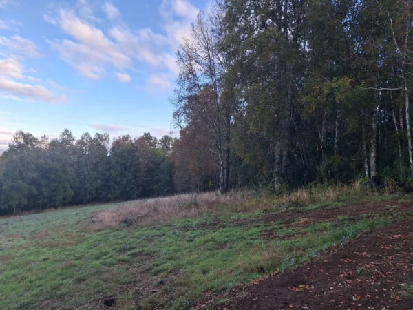 praderas de villarrica etapa ii desde $25.000.000