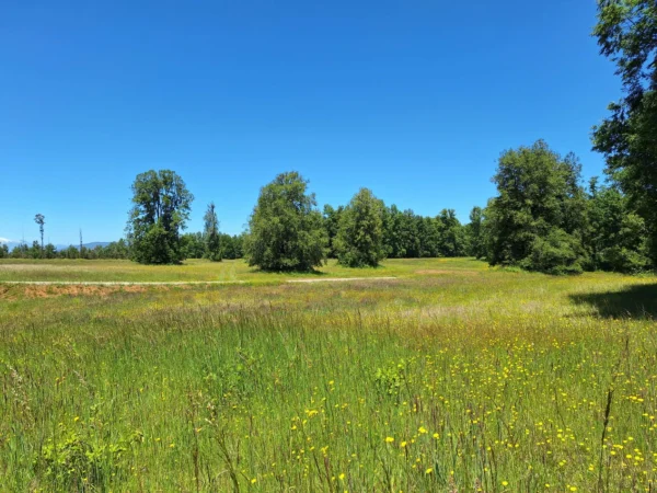 praderas de villarrica iii y iv desde $24.990.000