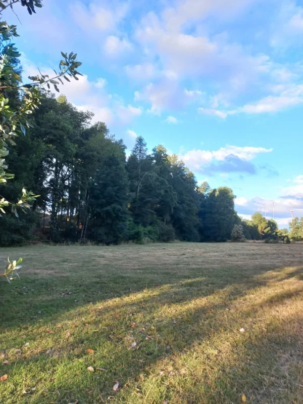 río escondido ruta villarrica pucón desde 2774 uf