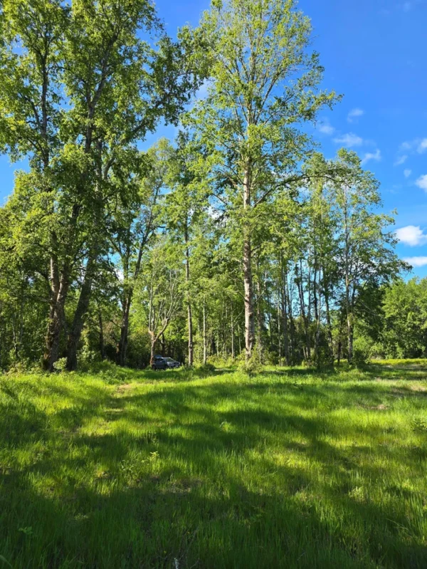 praderas de villarrica iii y iv desde $24.990.000