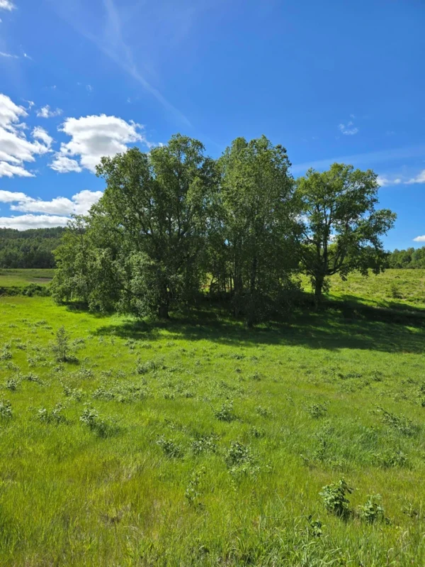 praderas de villarrica iii y iv desde $24.990.000