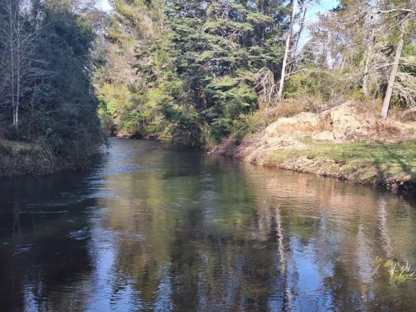 hermosas parcelas por ruta s 91 río, luz y agua. crédito directo