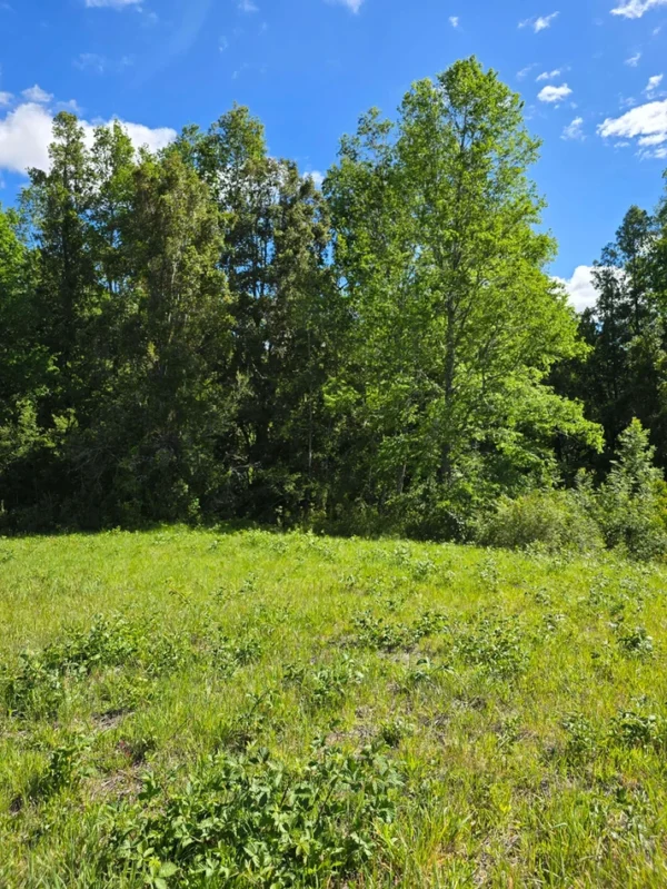 praderas de villarrica iii y iv desde $24.990.000