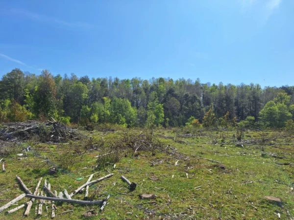 hermosas parcelas por ruta s 91 río, luz y agua. crédito directo