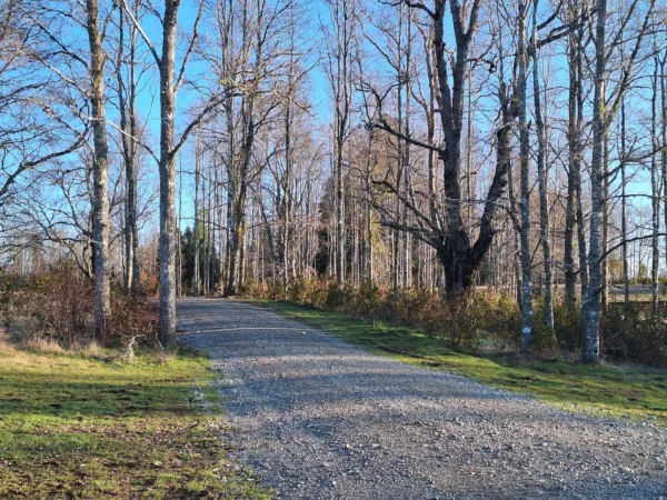 praderas de villarrica iii y iv desde $24.990.000