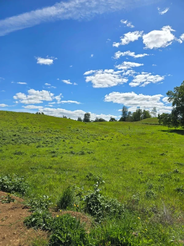 praderas de villarrica iii y iv desde $24.990.000