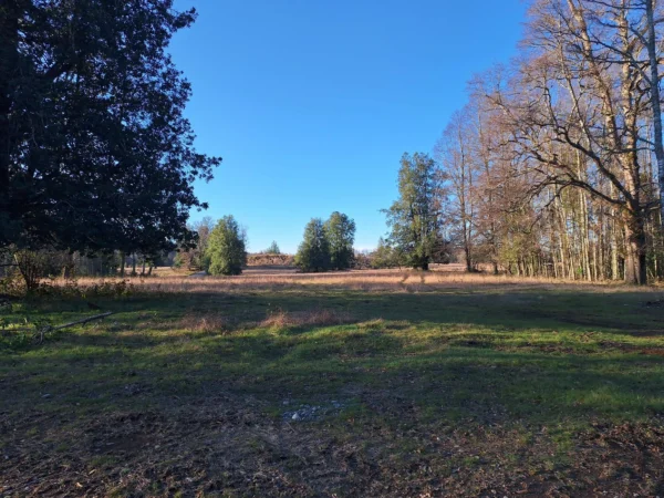 praderas de villarrica iii y iv desde $24.990.000
