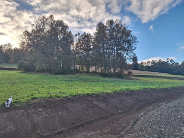 praderas de villarrica etapa ii desde $25.000.000