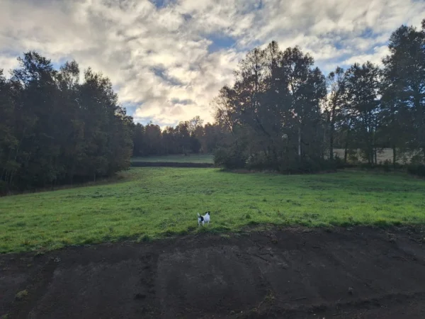 praderas de villarrica etapa ii desde $25.000.000