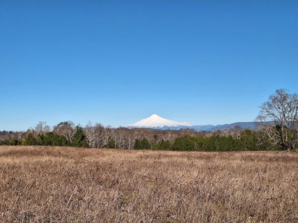 praderas de villarrica iii y iv desde $24.990.000