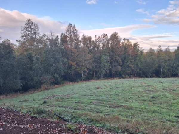 praderas de villarrica etapa ii desde $25.000.000