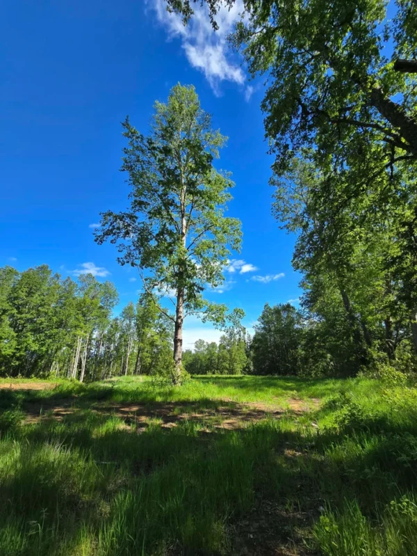 praderas de villarrica iii y iv desde $24.990.000