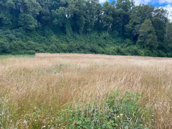 parcela ruta villarrica freire $45.000.000