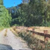 parcela ruta villarrica freire $45.000.000