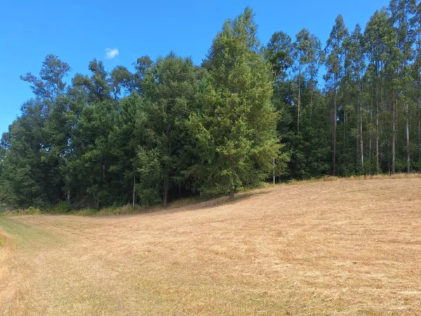 hermosas parcelas por ruta s 91 río, luz y agua. crédito directo