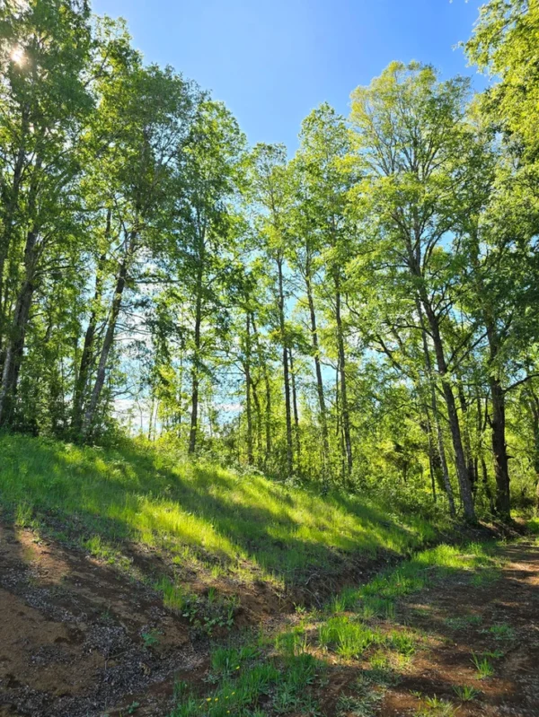 praderas de villarrica iii y iv desde $24.990.000