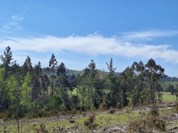 hermosas parcelas por ruta s 91 río, luz y agua. crédito directo