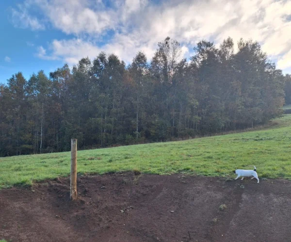 praderas de villarrica etapa ii desde $25.000.000