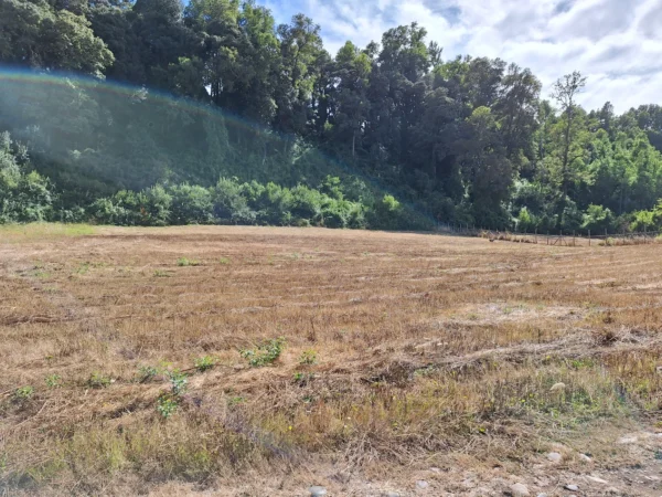 parcela ruta villarrica freire $45.000.000