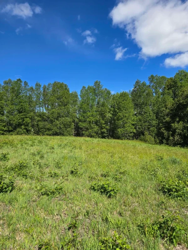 praderas de villarrica iii y iv desde $24.990.000