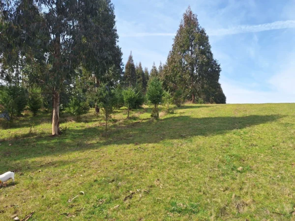 hermosas parcelas por ruta s 91 río, luz y agua. crédito directo