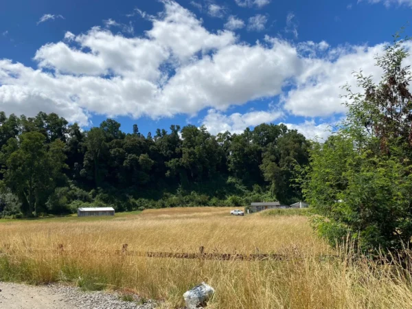 parcela ruta villarrica freire $45.000.000