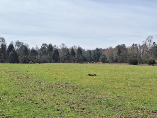 hermosas parcelas por ruta s 91 río, luz y agua. crédito directo
