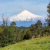 praderas de villarrica iii y iv desde $24.990.000