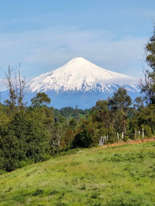 praderas de villarrica iii y iv desde $24.990.000