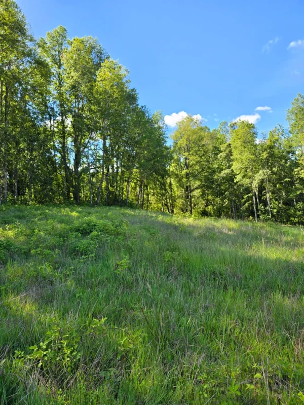 praderas de villarrica iii y iv desde $24.990.000