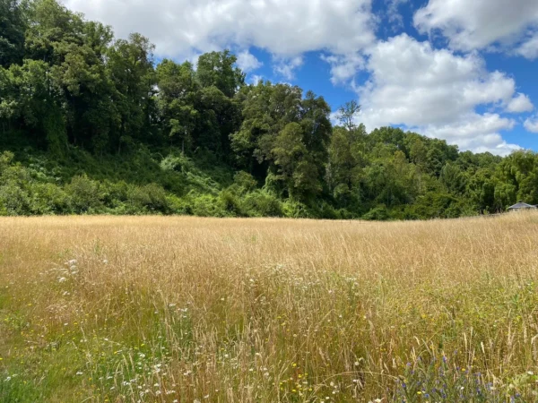 parcela ruta villarrica freire $45.000.000