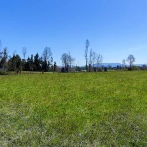 río escondido ruta villarrica pucón desde 2774 uf