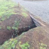 praderas de villarrica etapa ii desde $25.000.000