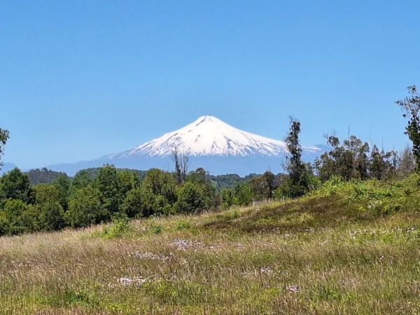praderas de villarrica iii y iv desde $24.990.000
