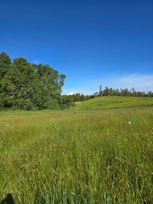 praderas de villarrica iii y iv desde $24.990.000