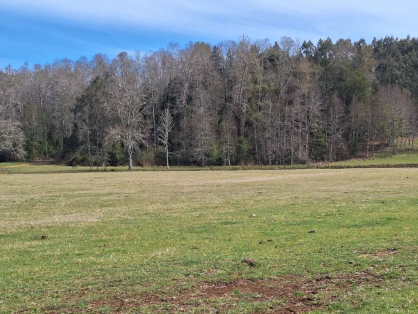 hermosas parcelas por ruta s 91 río, luz y agua. crédito directo