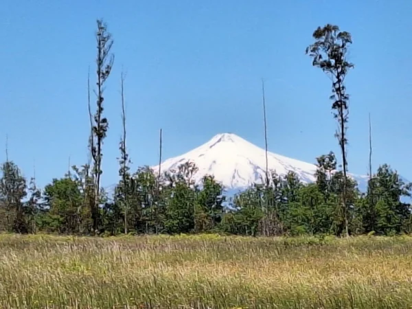 praderas de villarrica iii y iv desde $24.990.000