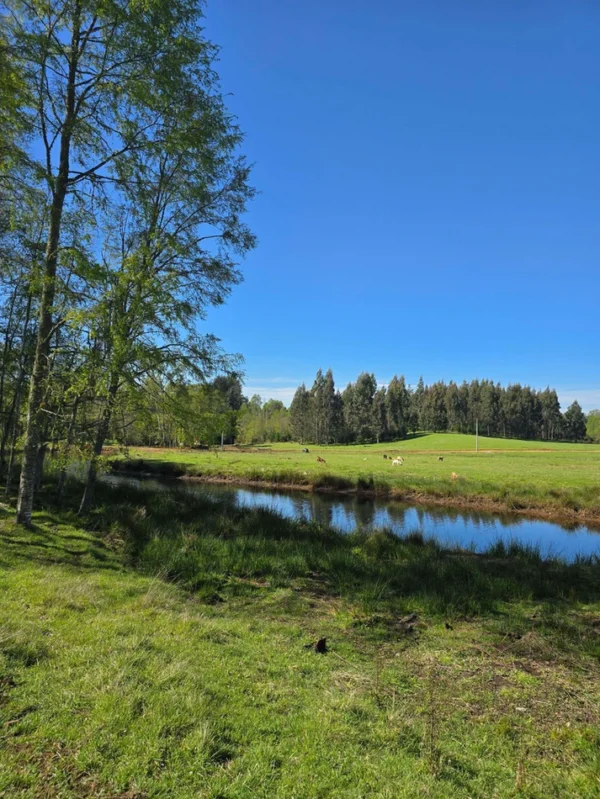 hermosas parcelas por ruta s 91 río, luz y agua. crédito directo