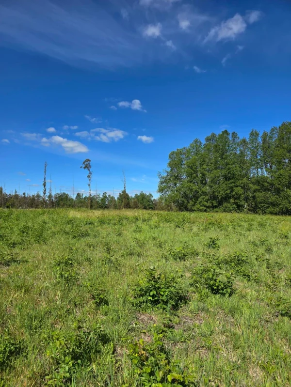 praderas de villarrica iii y iv desde $24.990.000