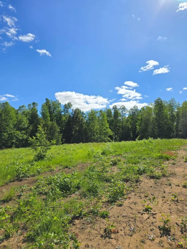 praderas de villarrica iii y iv desde $24.990.000