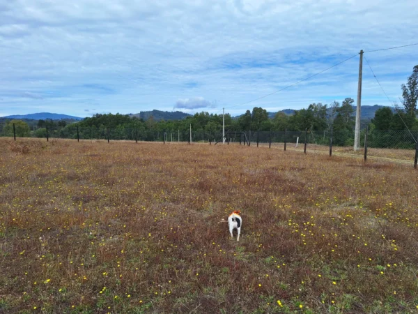 casa por terminar en parcela, sector el prado $70.000.000