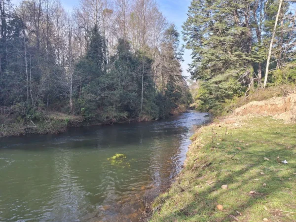 hermosas parcelas por ruta s 91 río, luz y agua. crédito directo
